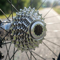 Miche Primato 8-fach Kassette 16-23Z Shimano in Silber, Made in Italy, Nahaufnahme am Hinterrad.