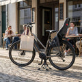 Schwarzer Hebie lite REX Zweibeinständer hält Fahrrad stabil auf Kopfsteinpflaster vor Café.