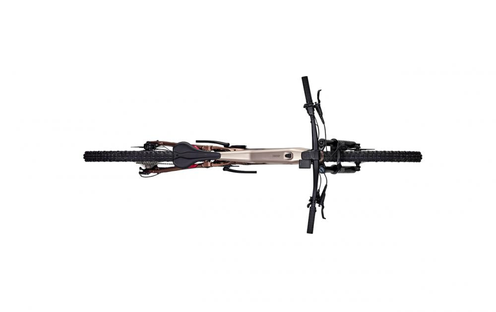 Focus THRON² 6.8 ABS 29" Diamant S Adamantsilver / Platinumbronze - vollgefedertes E-MTB mit ABS