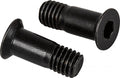 SHIMANO Schaltrollenschraube für RD-M430 2 Stück - Ersatzschrauben, ca. 5 g, Y5XG98030