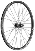 DT Swiss Laufrad FR 1950 Classic 29" 622x30 mm schwarz - robustes Downhill-Vorderrad