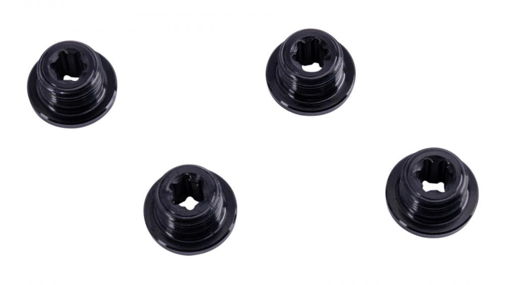 Campagnolo Kettenblattschrauben mit Muttern