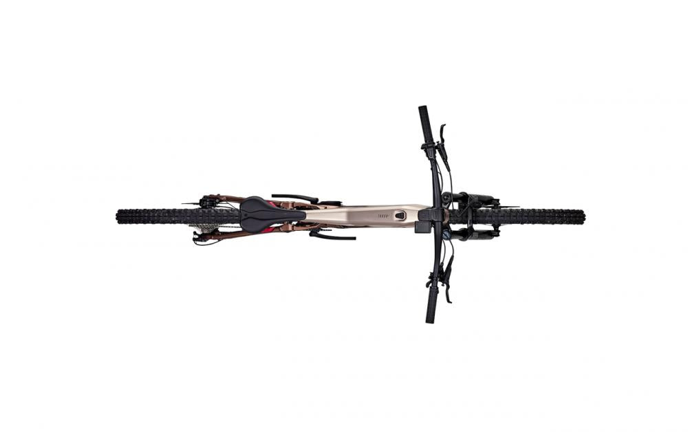 Focus THRON² 6.8 ABS 29" Diamant S Adamantsilver / Platinumbronze - vollgefedertes E-MTB