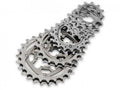 Campagnolo Kettenrad 10s 10S-161 - R7386316A 16 Zähne