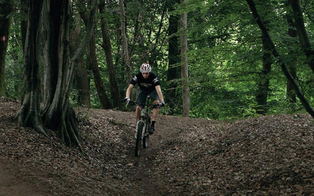 Selle Royal, Sattel Vaia Athletic, Unisex inkl. Multitool