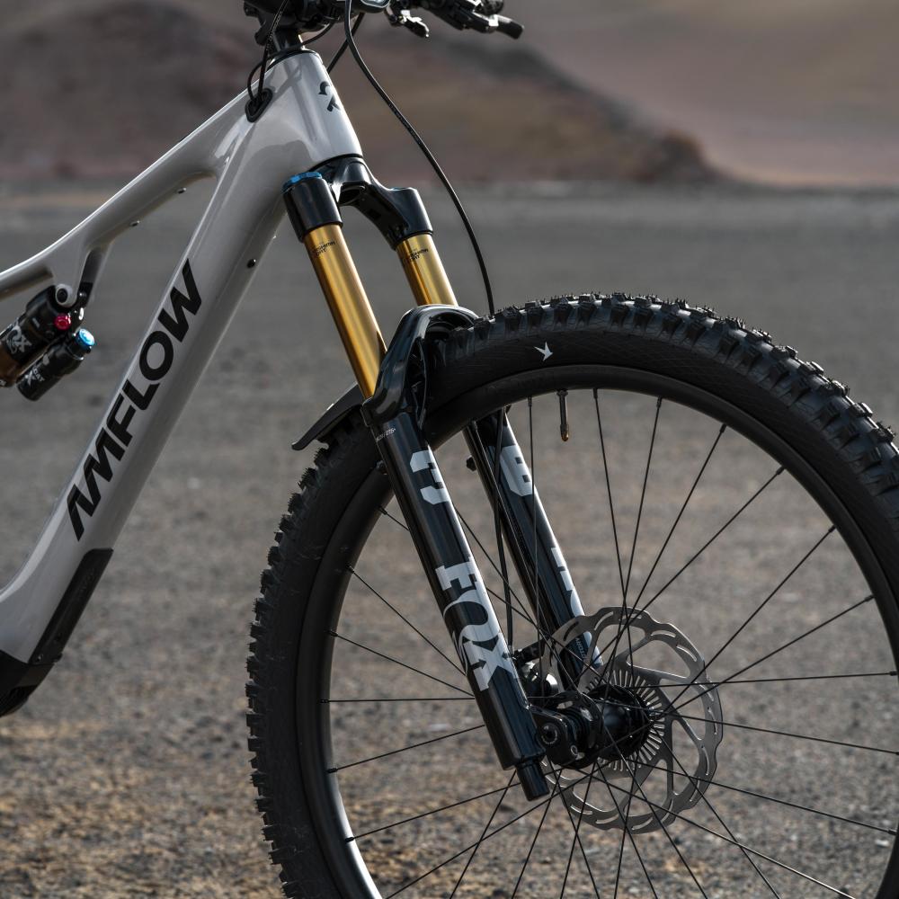 Amflow PX Carbon Pro E-MTB L - 700 Wh, Avinox M2S, Mondstein-Grau