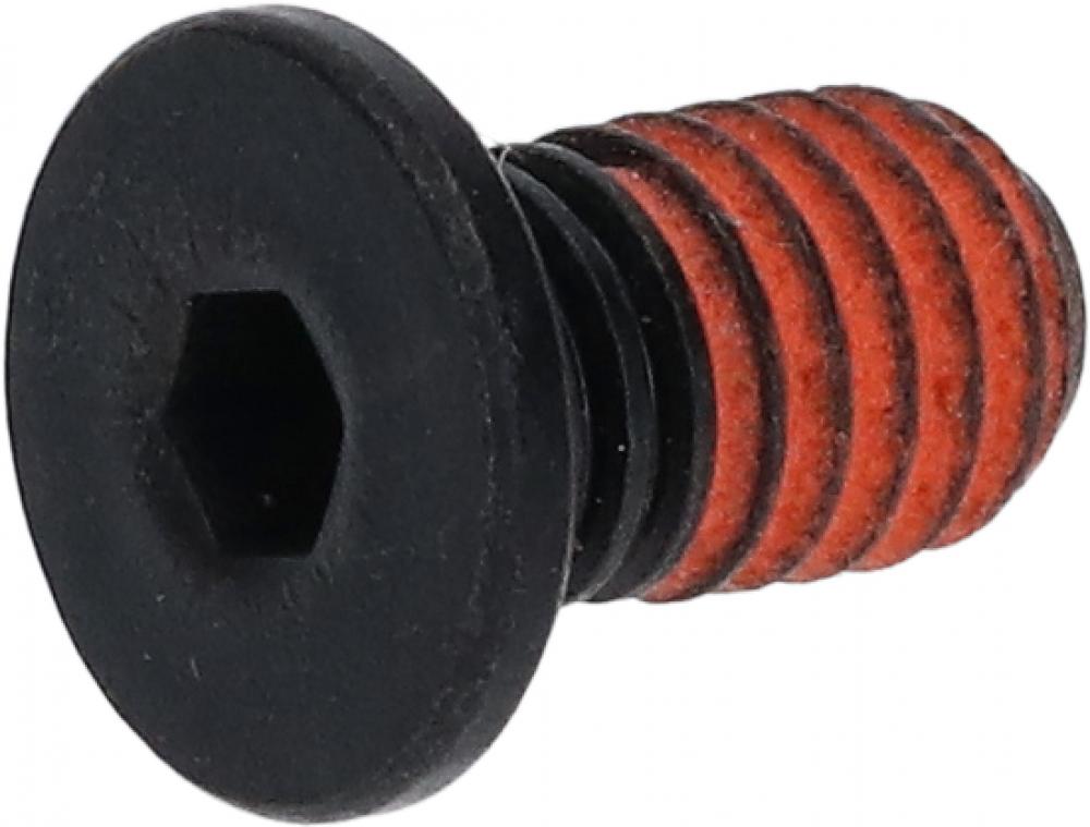SHIMANO Befestigungsschraube für Halteplatte CD-EM800 - ca. 26 g, Y7HC00064