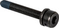 SHIMANO Befestigungsschraube Bremssatteladapter Flat-Mount-Rahmen 25 mm - präzise Montageleistung