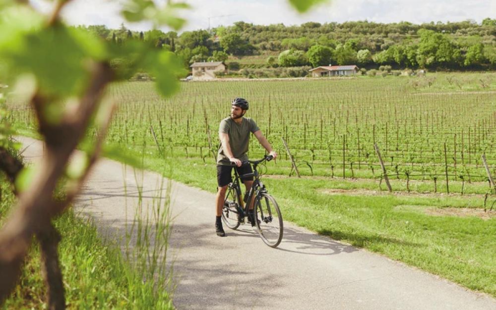 Mann auf Fahrrad mit Selle Royal Explora 90° Relaxed Sattel fährt durch sonnigen Weinberg.