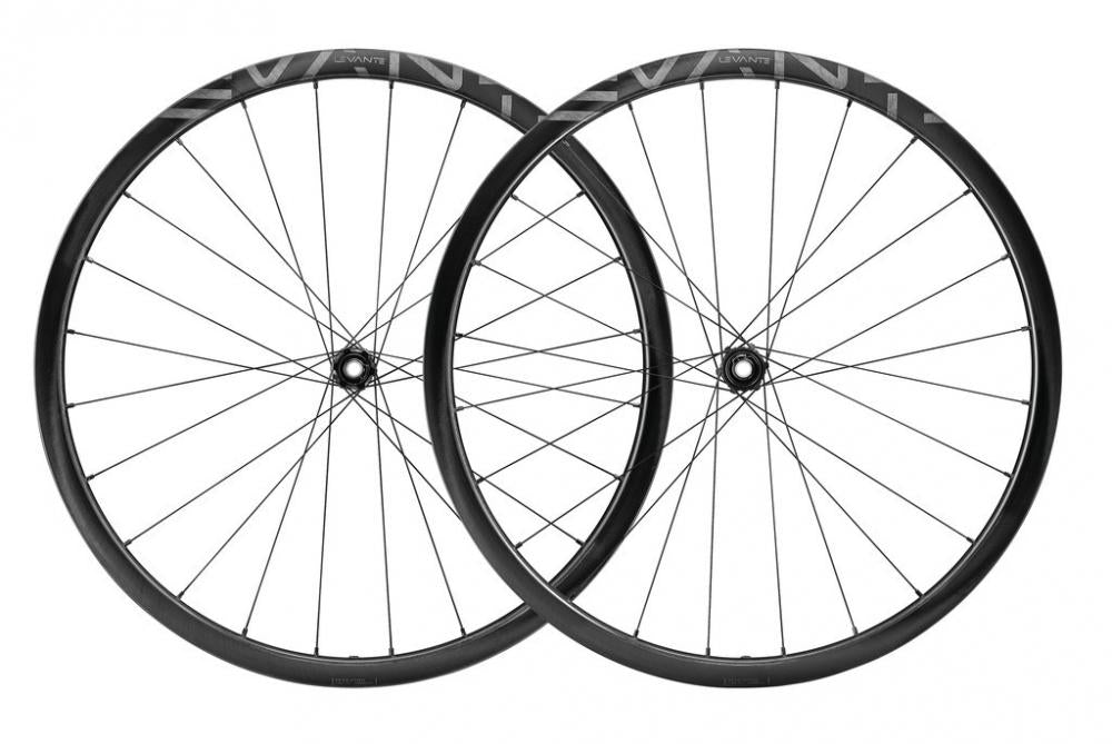 Zwei schwarze Campagnolo Levante Laufräder mit 2-WayFit DB und Shimano HG Freilauf.