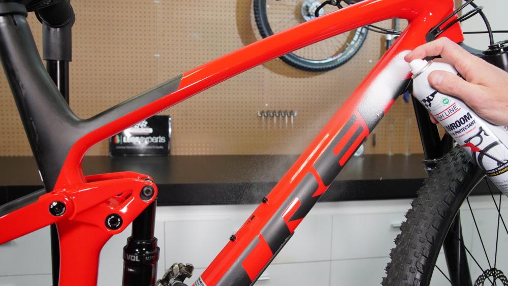 Finish Line Pro Detailer Schutzpolitur für Fahrradrahmen 354ml Spray - Glanzpflege, Schmutzabweisung, Lackschutz