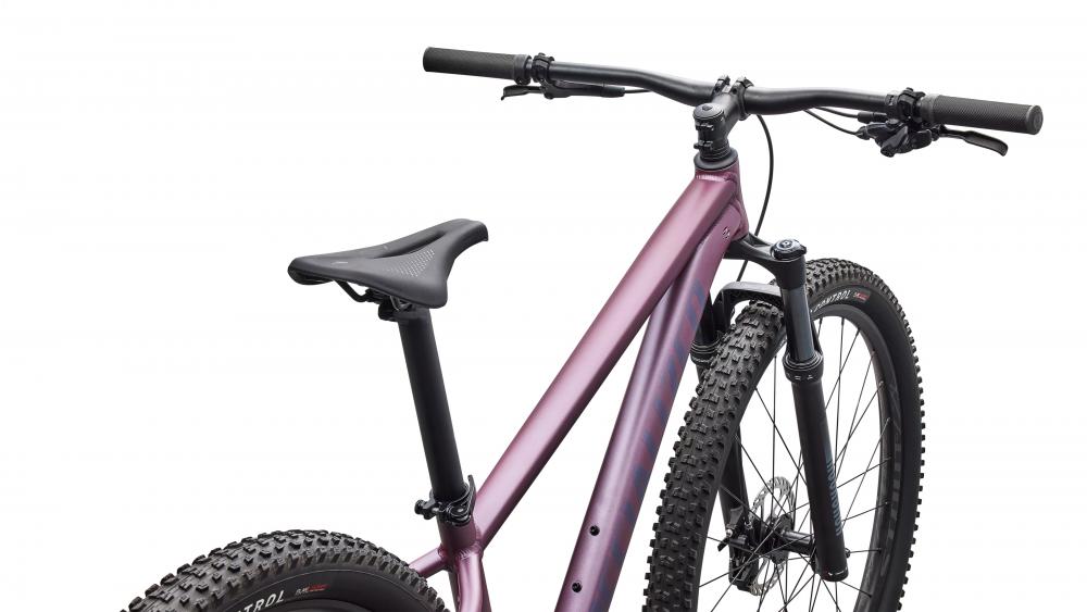 ROCKHOPPER EXPERT KH QTZMET/WHT M - 29" Mountainbike