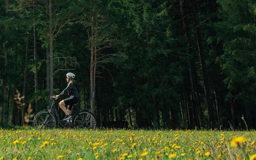 Selle Royal Vaia Relaxed Sattel - Royalgel, 250 x 213 mm
