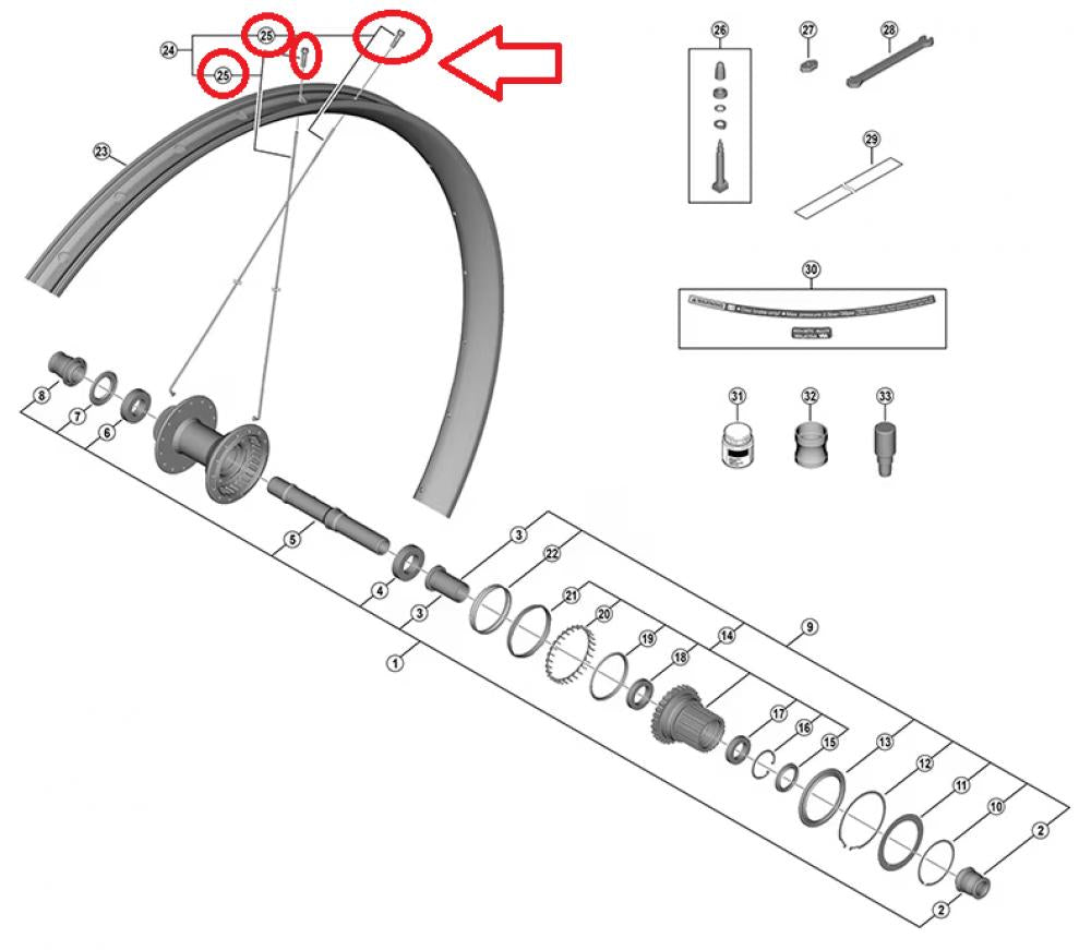 SHIMANO Speiche m.Nippel f.WH-M8200-TL-R12-B-29, 297mm, 2 Stück - 29, 297mm