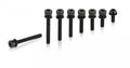 XLC Schraubenbolzen M5x34mm Standard Kopf für Flatmountadapter, schwarze Schrauben auf weißem Hintergrund