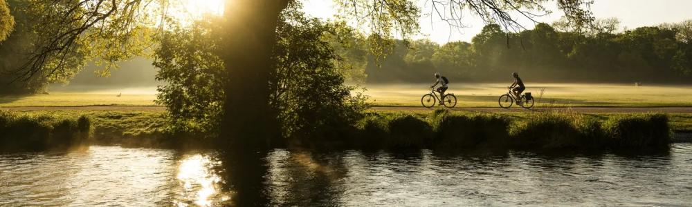 M-D Sattel SQlab Sattel 610 Infinergy® M-D active 2.1 16cm