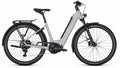 Kalkhoff Entice 3 Life 29 Zoll Wave E-Bike 53 cm Silber 600 Wh