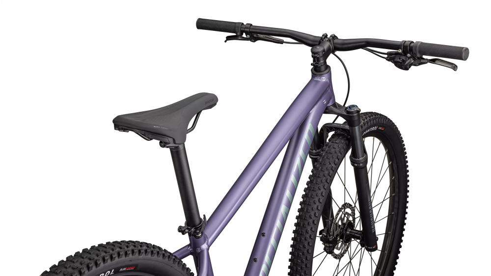 Specialized Rockhopper Comp 29 Zoll Mountainbike - Hardtail MTB Größe L in Metallic Violet/Fjord Metallic