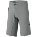 IXS Sports Division iXS Carve Evo Shorts L graphite - flexible Bike-Shorts für Trail & Enduro