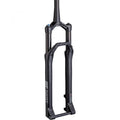DT Swiss Federgabel F 232 ONE 29" 110 mm Schwarz - leichte XC-Performance