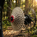 SunRace Kassette CSMX0 TAW 10-fach 11-36 Zähne silber am Mountainbike-Hinterrad im Wald auf einem Pfad.