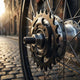 SHIMANO Ritzel NEXUS 21Z Ritzel - für NEXUS Nabenschaltungen, schwarz