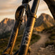 FOX Decal Kit 2021, 36, P-SE, E-Bike+, Matt Black - hochwertiges Gabel-Dekor