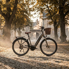 Winora TRIA N5F LOW i625Wh 5-G Nexus - Komfort E-Bike mit Tiefeinstieg - E-City Bike