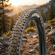 Maxxis Reifen Aggressor WT TLR DD faltb. 29x2.50 Zoll 63-622 schwarz Dual