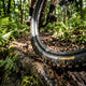 ETRTO Faltreifen Continental Magnotal Trail Soft Faltreifen 29 x 2 - 60"" (ETRTO 65-584) Schwarz - Grip für gemischtes Gelände