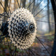 SHIMANO Kassette CS-HG500 10-fach 11-32Z Kassette - 10-fach Abstufung für Trekking und MTB