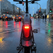 Büchel Beleuchtung FL 12 mit Standlichtfunktion LED-Rücklicht für Dynamo Schutzblechmontage StVZO