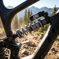 Rockshox Feder für Hinterraddämpfer, grau, 450LB, an Mountainbike im Gelände.