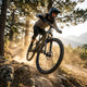 Rockshox Federgabel .Psylo Gold Isolator RC 29\"Boost,15x110mm,160mm,sw,44offset,DA