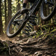 FOX Super Light Steel Dämpferfeder - Stahlfeder MTB 72
