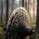SRAM XG-1275 Kassette 12-fach 10-50T - Eagle MTB Kassette
