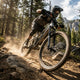 RockShox GabelCSU RS Domain DA 27/29\"Boost 2022+ 11.4018.090.065,44Offs,DiBl,69OD, B1+