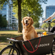 Carqon Smart Bar schwarz für Classic Cruise