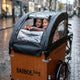 Babboe Regenverdeck schwarz für Dog PVC