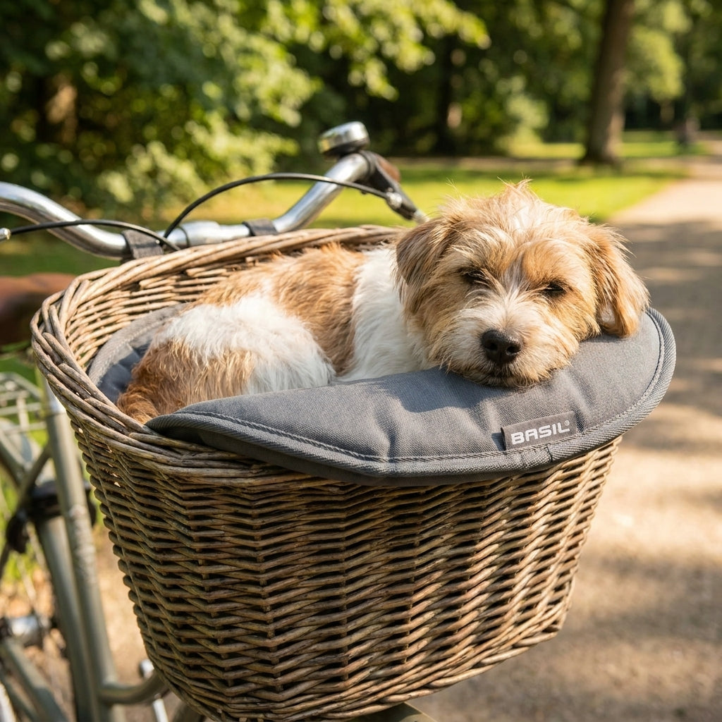 Basil Kissen für Fahrrad Tierkorb Pluto grau 45x29x1 cm mit schlafendem Hund im Fahrradkorb.