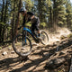 FOX LIVE m2 Controller Giant Trance X - präzise Fahrwerkssteuerung für dein E-MTB