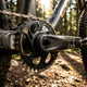 SRAM X-Sync Eagle Kettenblatt 36T 6mm Offset Boost - 12-fach MTB Kettenblatt schwarz-gold