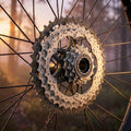 Shimano Deore XT CS-M8000 11-fach Kassette 11-42Z für Mountainbikes auf MTB Hinterrad im Gelände.