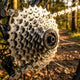 SHIMANO Kassette ACERA CS-HG41 8-fach 11-34 Zähne Kassette - 8-fach Übersetzungsbereich 11-34