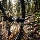 DT Swiss Nabe MTB HR 350 Classic 32 Loch Schwarz - zuverlässige Boost-Hinterradnabe