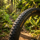 Continental Trinotal Race Grip TL-Ready Faltreifen 29x2 - 40 - Leichter Trail-Reifen mit E-25 Grip-Compound