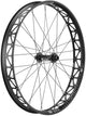 DT Swiss Laufrad BR 2250 Classic Fatbike 26 Zoll schwarz - leichtes Fatbike-Hinterrad