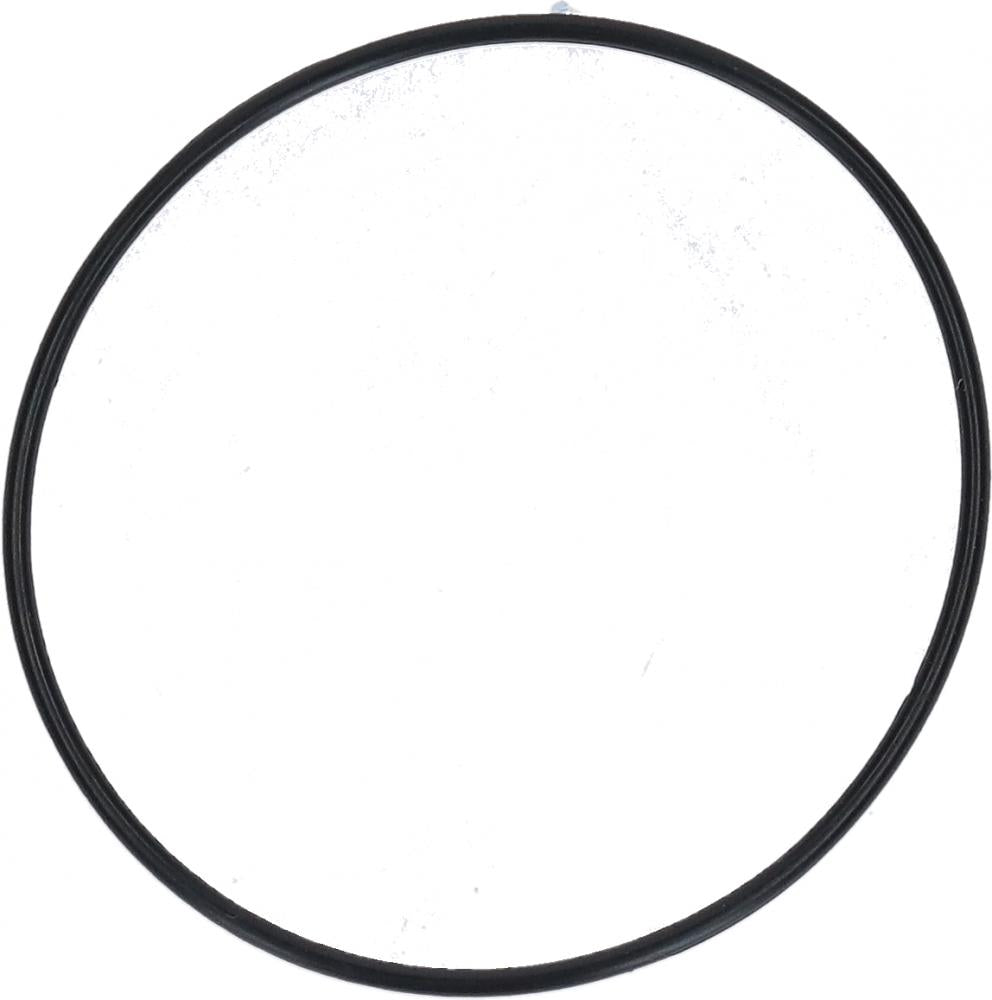 SHIMANO O-Ring SG-5R30-BT - Ersatz-O-Ring für Nabenschaltung, ca. 1 g