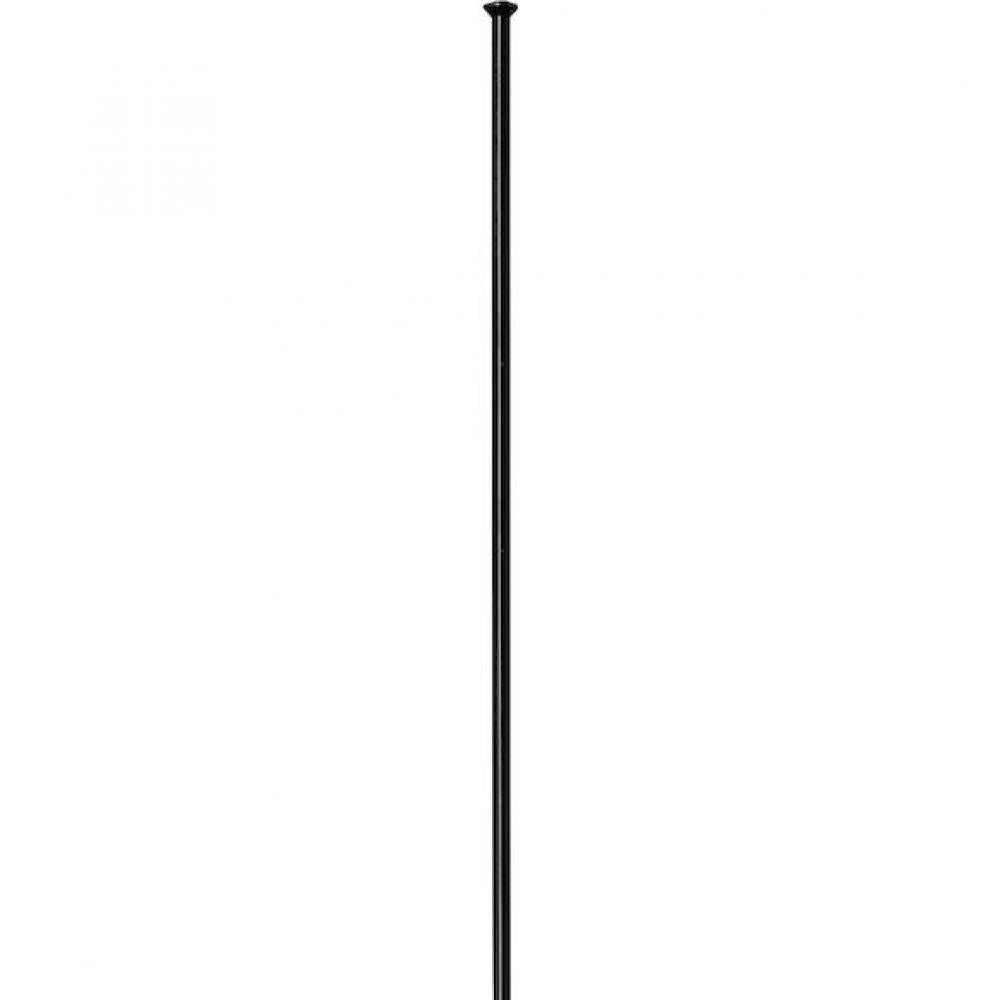 DT Swiss Speiche Competition 2.0 / 1.8 238 mm schwarz Straightpull - robuste Hochleistungs-Speiche