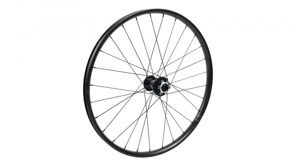 RIPROCK WHL MY22 RIPROCK EXPERT 24 - Nabe - FRONT 15X110 DISC 6 BOLT 28H - Vorderrad